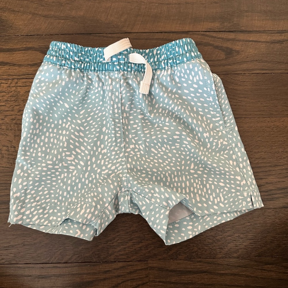 Chubbies swim trunks
